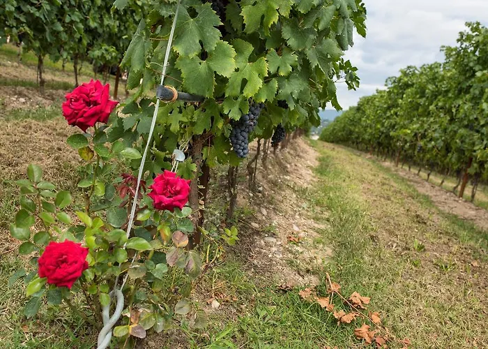 팜스테이 Costadoro