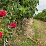 Alloggio per agriturismo Costadoro