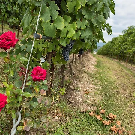 Farm stay Costadoro